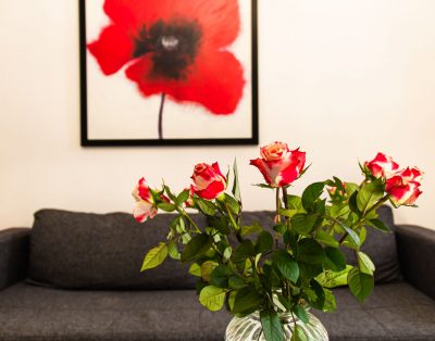 Chic apartment near Schloss Belvedere