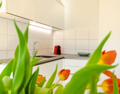 Beautiful central serviced apartment near Urania