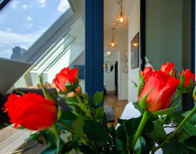 Apartment in Vienna with hand-picked design