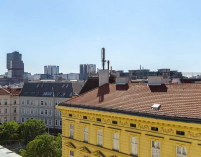 Apartment in Vienna with hand-picked design