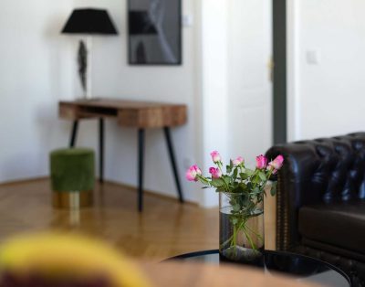 City Apartment Radetzkyplatz near Prater & Danube Oasis